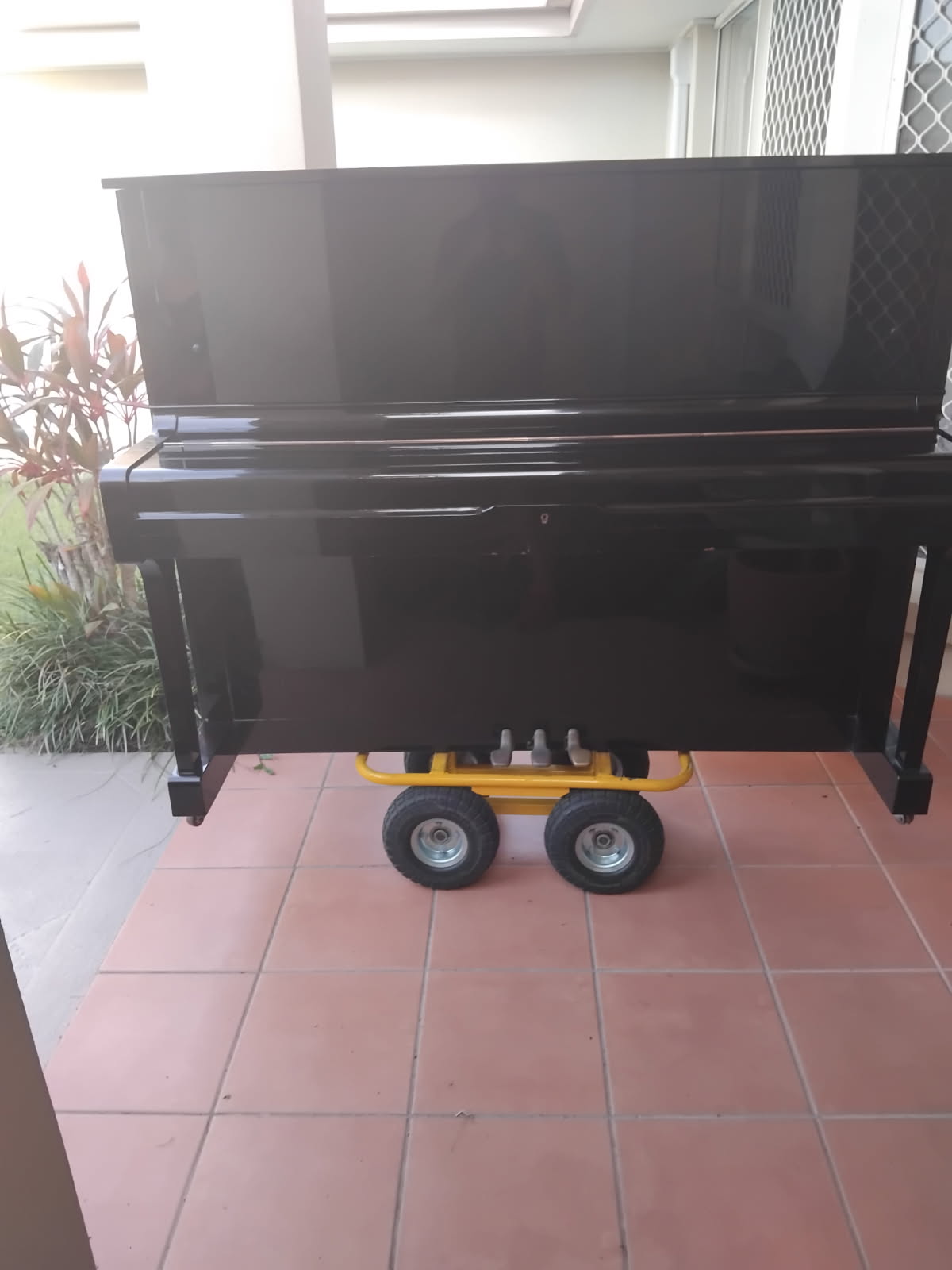 Removalists operating on the Gold Coast